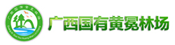 link1 78m威九国际(集团)中国区有限公司-BinG百科