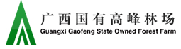 link2 78m威九国际(集团)中国区有限公司-BinG百科